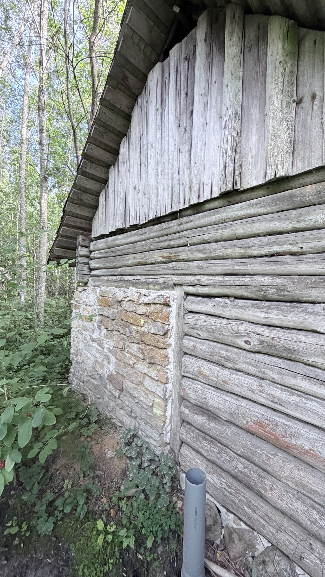 Palkseina ja kivist alusega sauna külg Allika juures augustis 2026