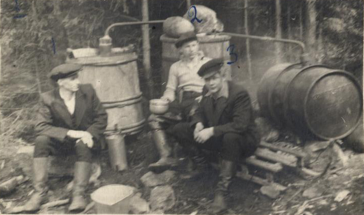 Eesti metsavennad Endel Tikerpuu, Juhan Tikerpuu ja Taisto Praks 1950. aastal